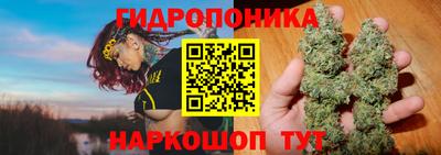 сатива Славгород