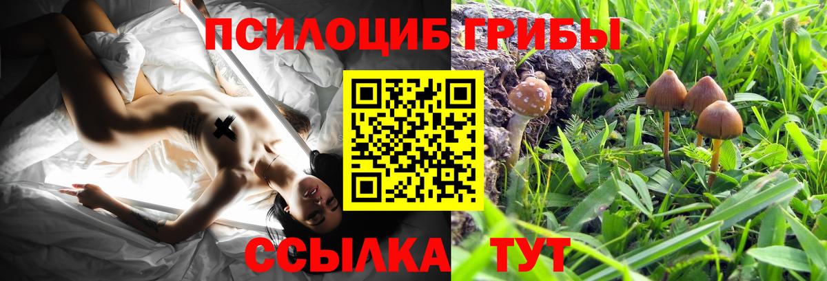 Галлюциногенные грибы Cubensis  Псилоцибиновые грибы Cubensis  Вход с VPN  Ртищево 